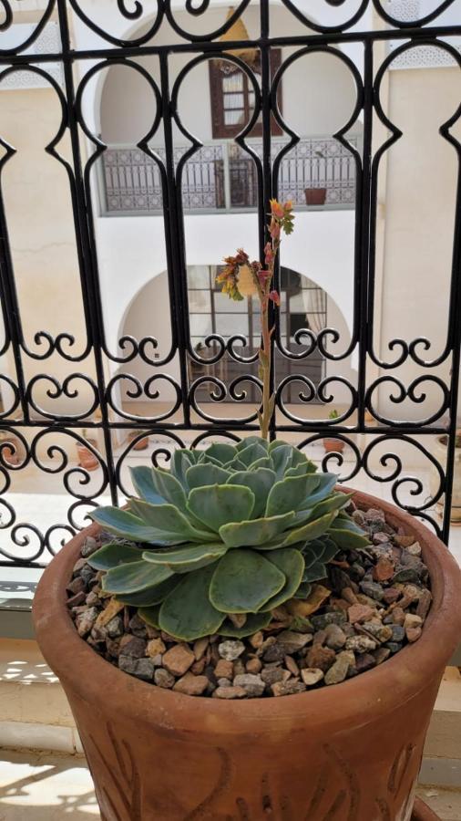 Riad Nohad Marrakech Marrakesh Exterior photo