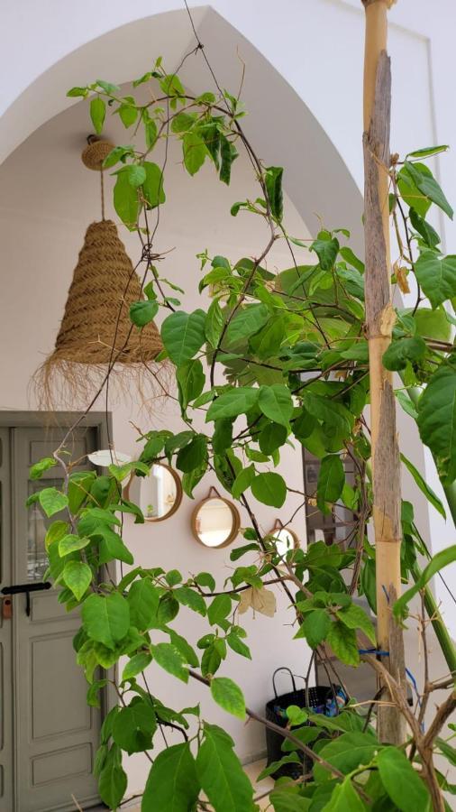 Riad Nohad Marrakech Marrakesh Exterior photo